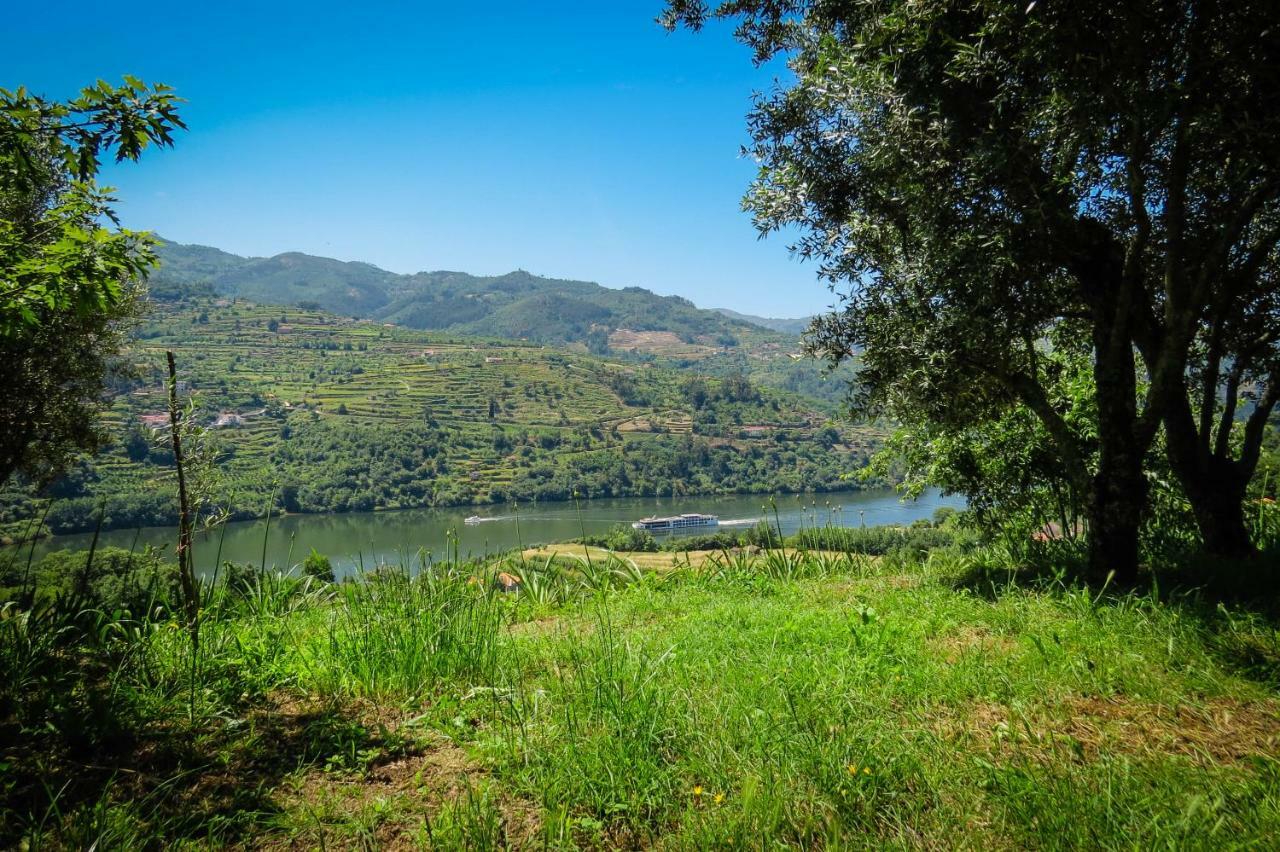 Casa Da Mouta - Douro Valley Baiao Ngoại thất bức ảnh